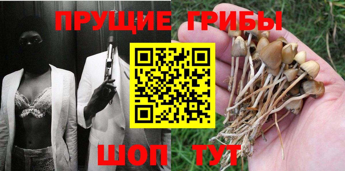 Псилоцибиновые грибы прущие грибы Вятские Поляны
