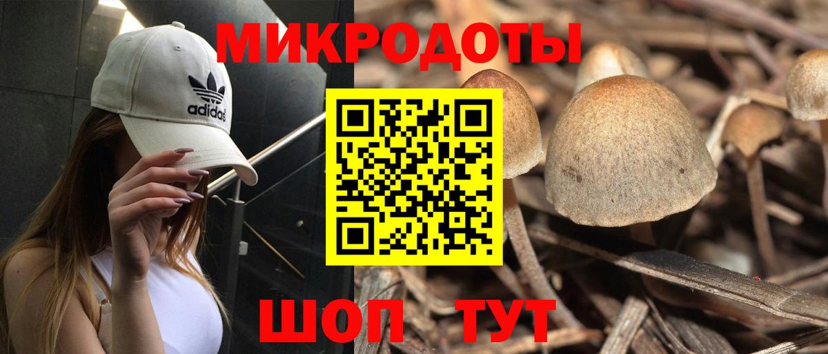 Галлюциногенные грибы Psilocybine cubensis  Вход с VPN  купить  сайты  Вятские Поляны 