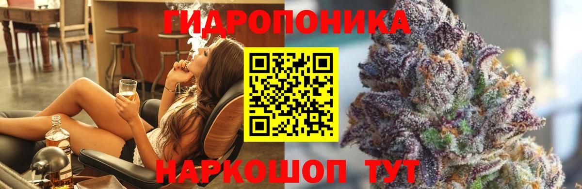 Конопля планчик  Канабис ГИДРОПОН  Вятские Поляны  Канабис OG Kush  Вход с VPN 